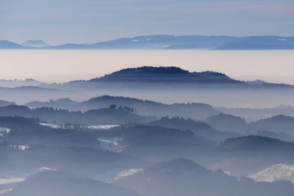 Ferienwohnung Schwarzwald Hinterzarten Exteriör bild