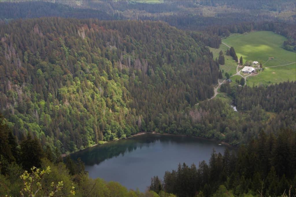 Ferienwohnung Schwarzwald Hinterzarten Exteriör bild
