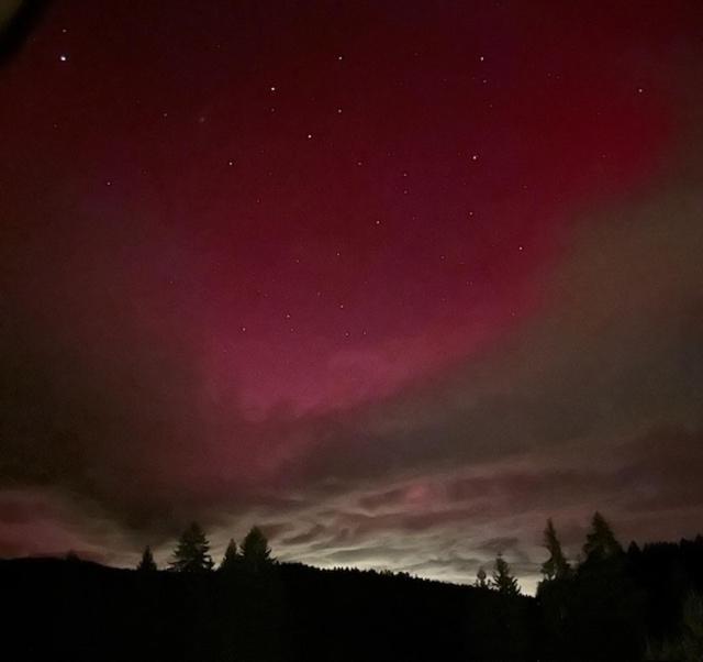 Ferienwohnung Schwarzwald Hinterzarten Exteriör bild